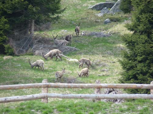 130605_Meraner-Hoehenweg_Meran_142