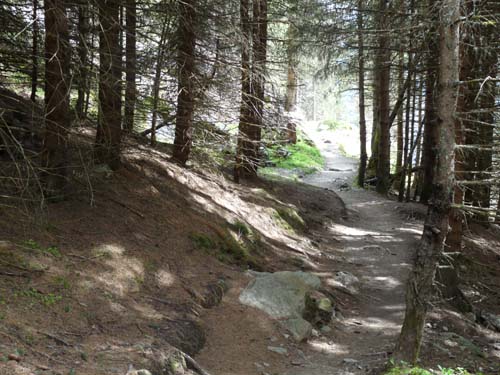 130605_Meraner-Hoehenweg_Meran_156