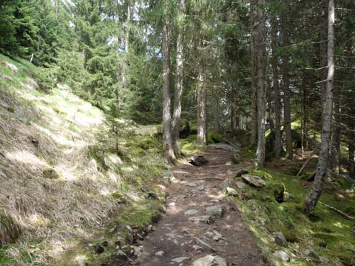 130605_Meraner-Hoehenweg_Meran_158