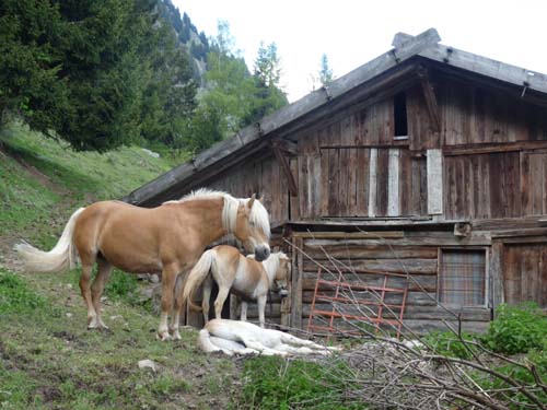 130605_Meraner-Hoehenweg_Meran_167