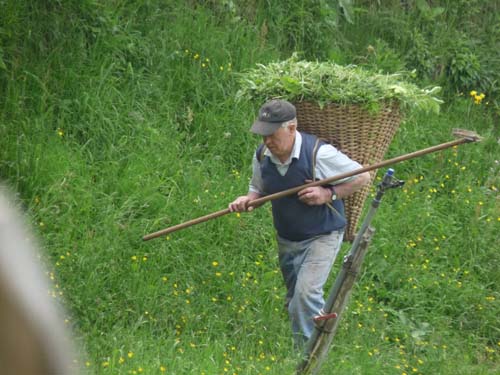 130605_Meraner-Hoehenweg_Meran_226