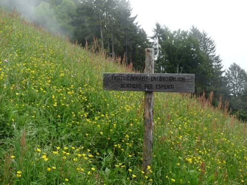 130605_Meraner-Hoehenweg_Meran_233