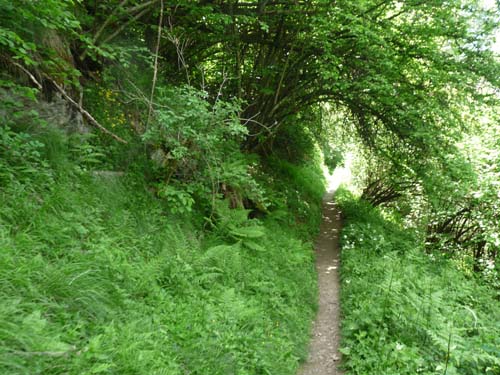 130605_Meraner-Hoehenweg_Meran_241