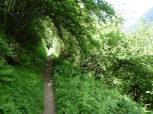 130605_Meraner-Hoehenweg_Meran_242