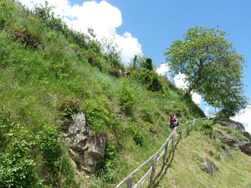 130605_Meraner-Hoehenweg_Meran_269