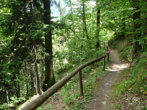 130605_Meraner-Hoehenweg_Meran_273