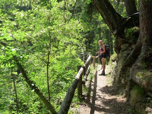 130605_Meraner-Hoehenweg_Meran_277