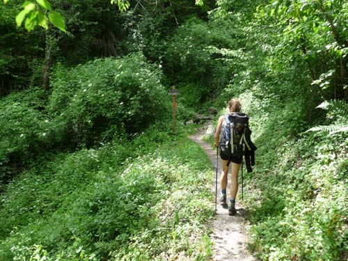 130605_Meraner-Hoehenweg_Meran_278