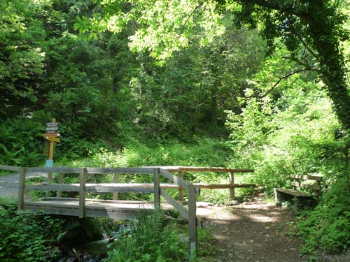 130605_Meraner-Hoehenweg_Meran_296