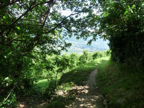 130605_Meraner-Hoehenweg_Meran_298