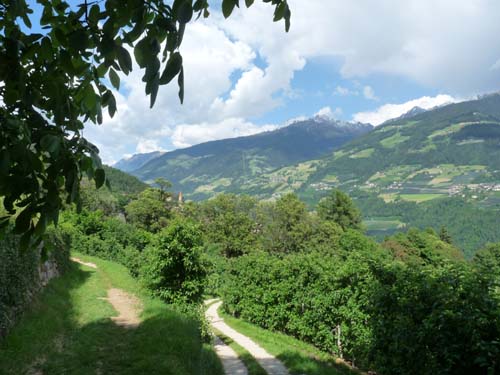 130605_Meraner-Hoehenweg_Meran_299