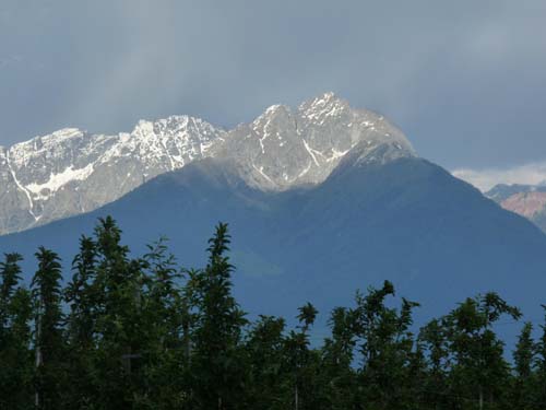 130605_Meraner-Hoehenweg_Meran_303