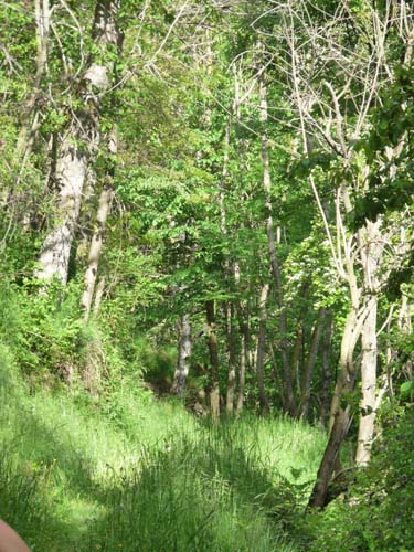 130601_Valle-Gesso_Entracque_024