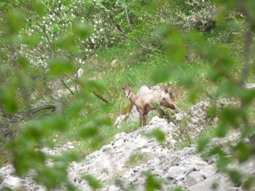 130601_Valle-Gesso_Entracque_042