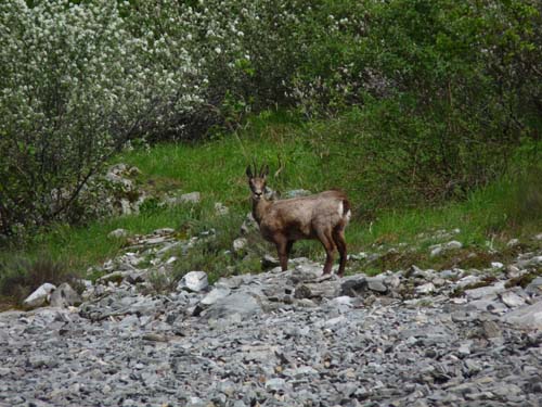 130601_Valle-Gesso_Entracque_046