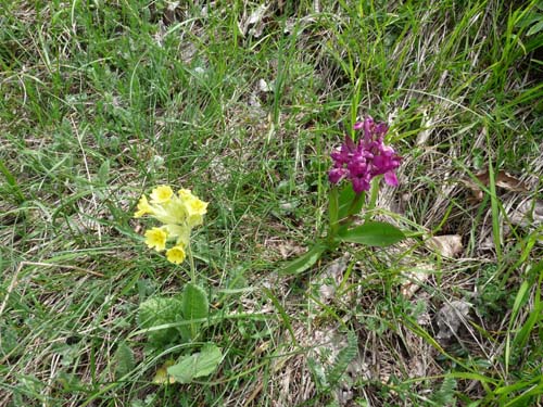 130601_Valle-Gesso_Entracque_093