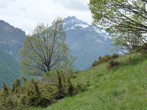 130601_Valle-Gesso_Entracque_101