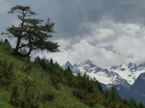 130601_Valle-Gesso_Entracque_114