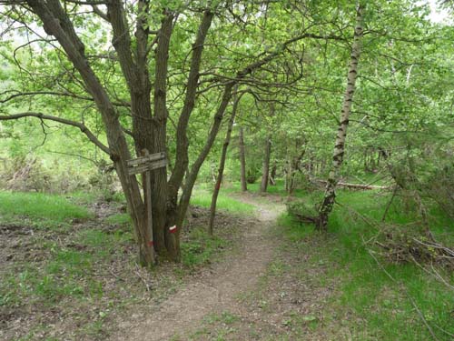 130601_Valle-Gesso_Entracque_115