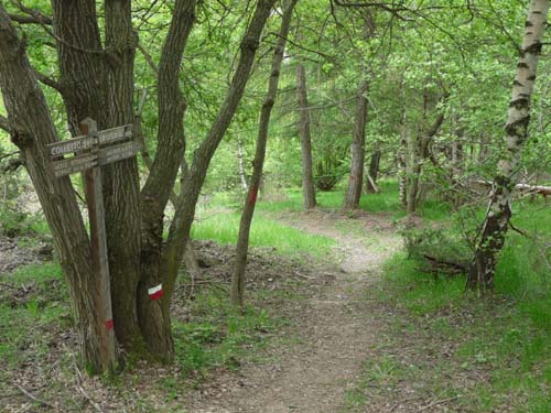 130601_Valle-Gesso_Entracque_116