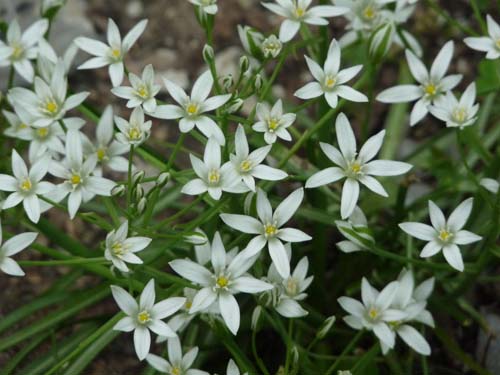 130601_Valle-Gesso_Entracque_123