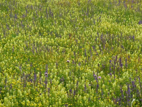 130601_Valle-Gesso_Entracque_128