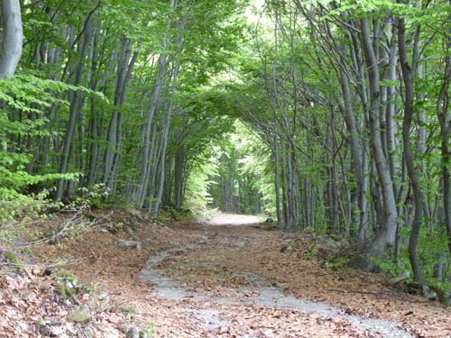 130601_Valle-Gesso_Entracque_152