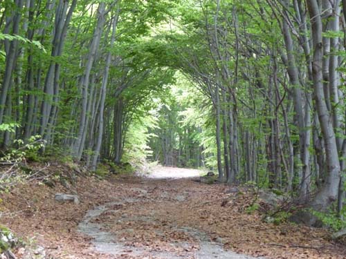 130601_Valle-Gesso_Entracque_153