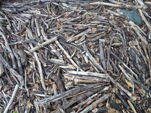 130601_Valle-Gesso_Entracque_159