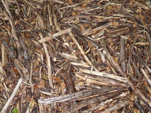 130601_Valle-Gesso_Entracque_161