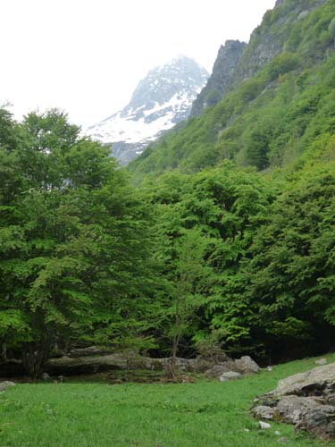 130601_Valle-Gesso_Entracque_164