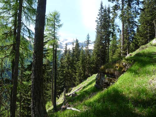 06-Breitbichl-Klapfbergalm-004