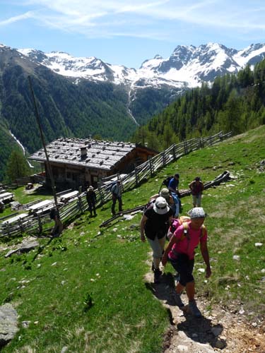 06-Breitbichl-Klapfbergalm-029