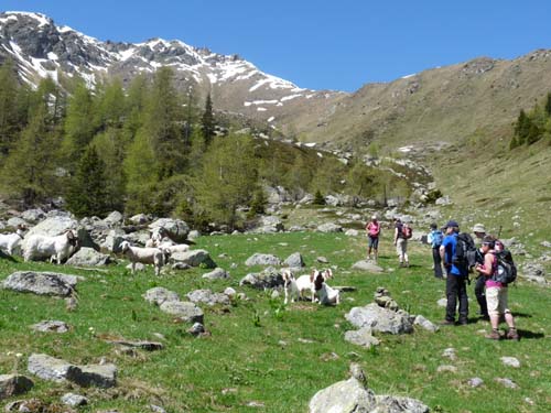 06-Breitbichl-Klapfbergalm-034