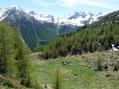 06-Breitbichl-Klapfbergalm-043