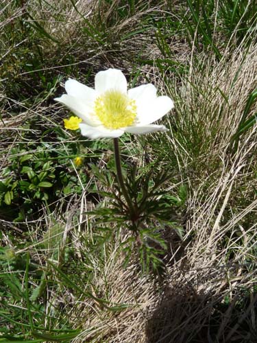 06-Breitbichl-Klapfbergalm-045