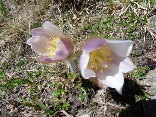 06-Breitbichl-Klapfbergalm-056