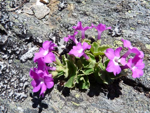 06-Breitbichl-Klapfbergalm-064