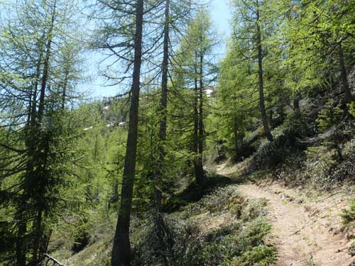 06-Breitbichl-Klapfbergalm-086