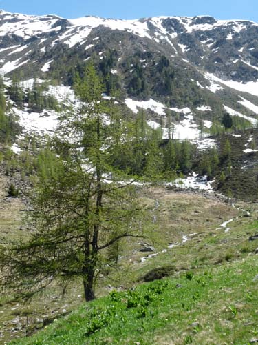 06-Breitbichl-Klapfbergalm-141