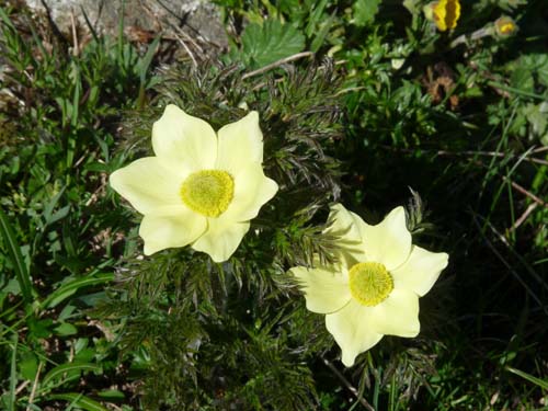 06-Breitbichl-Klapfbergalm-142