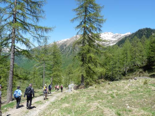 06-Breitbichl-Klapfbergalm-144