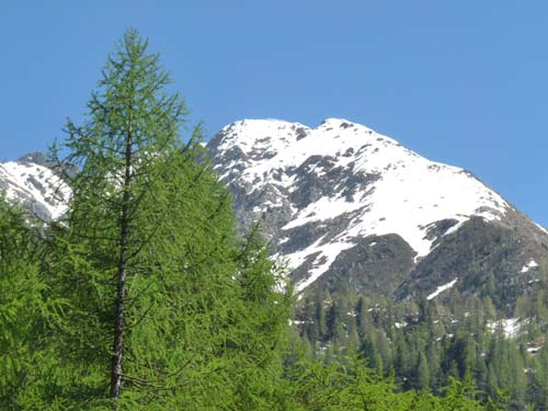 06-Breitbichl-Klapfbergalm-145