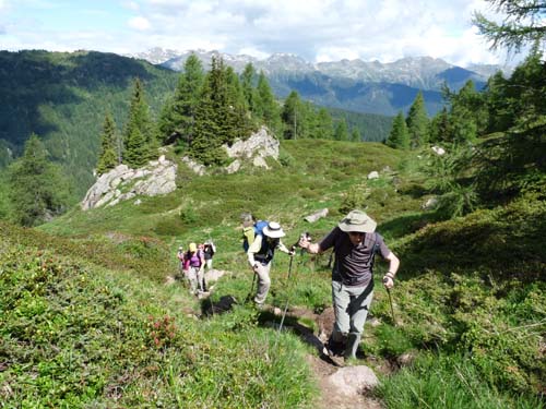 09-Hofmahd-Laugen-015