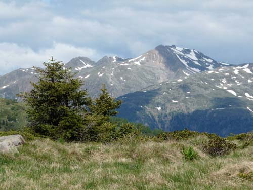 09-Hofmahd-Laugen-023