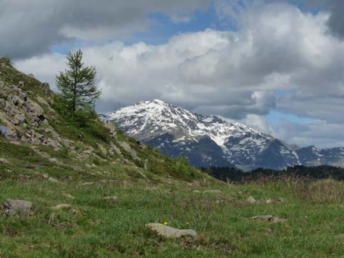 09-Hofmahd-Laugen-027