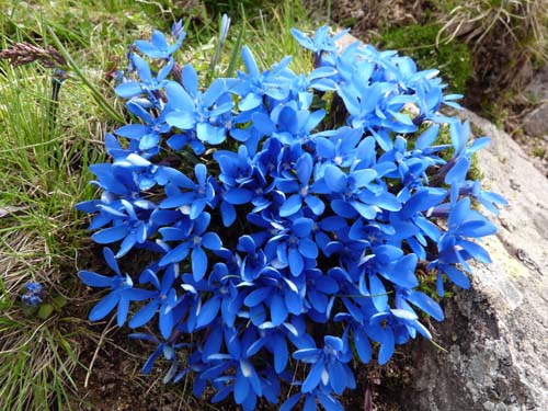 09-Hofmahd-Laugen-031