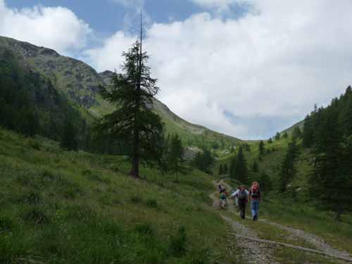 Ultental-2-Breitbichl-Urlaerchen-003