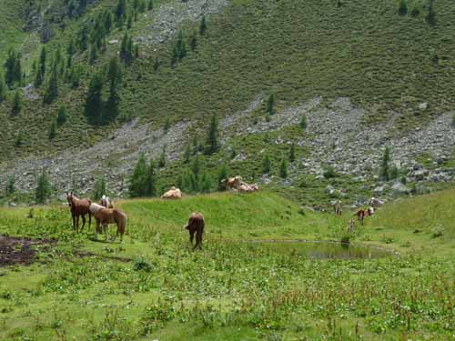 Ultental-2-Breitbichl-Urlaerchen-017