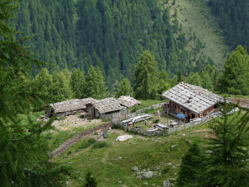 Ultental-2-Breitbichl-Urlaerchen-018